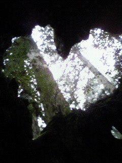 ���v���n�[�g