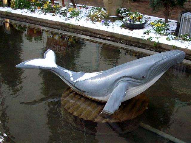 �n�[�g�O�i���p