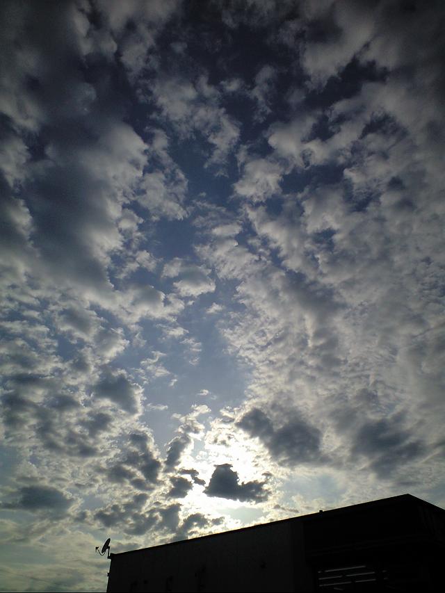 �~���Ă���