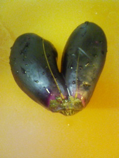 �n�[�g�t���@�i�[�X