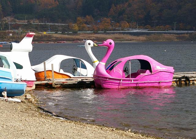 ���ǂ��v�w�B