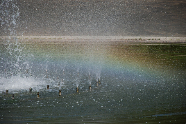 噴水の水しぶきによって見える虹