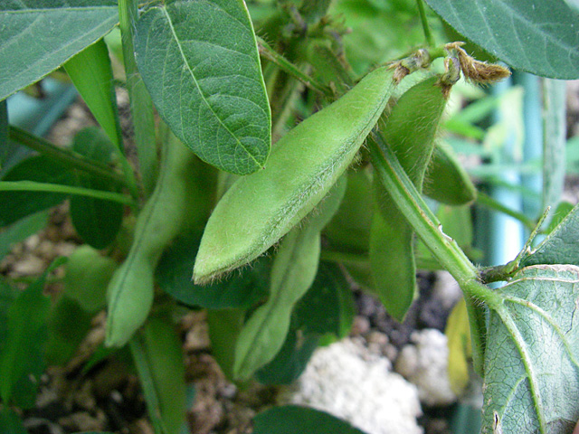 6/16�@�}�����n