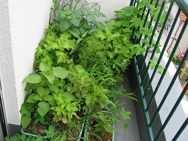 7/8�@�W�����O��