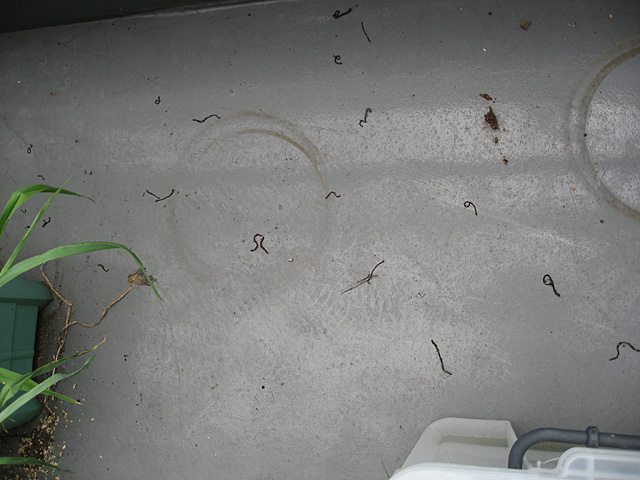 7/29�@�s�v�c�ȕ���