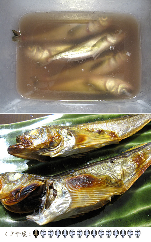 �k����̗��q