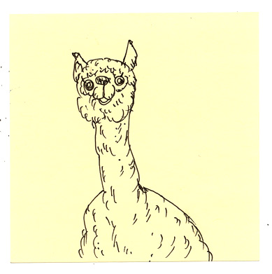 ���A���p�J�H