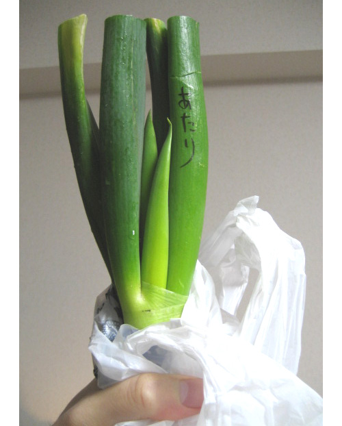 �l�M�ł�����