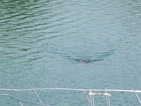 5/21 �ߑO���x�̐\��