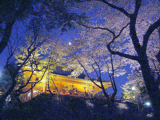 ��쐴���ω����̖��