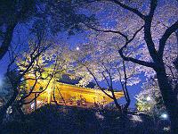 ��쐴���ω����̖��