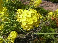 �؂̉Ԃł͂���܂���B