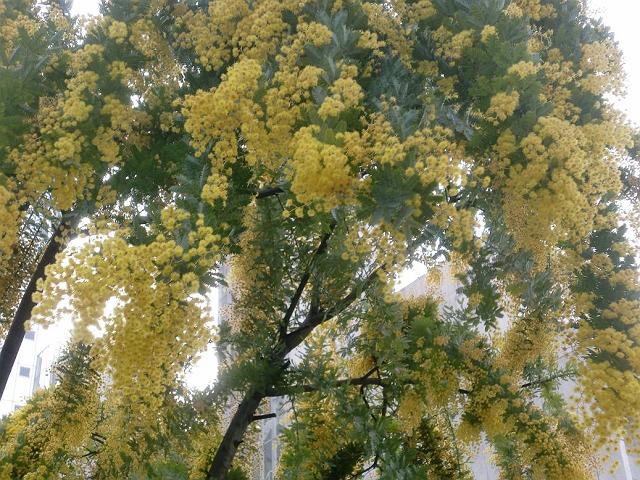 �������[