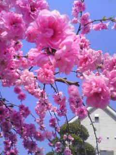 ������������