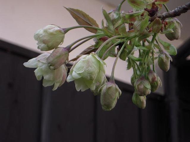 �����𑢂̉���