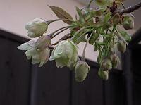 �����𑢂̉���