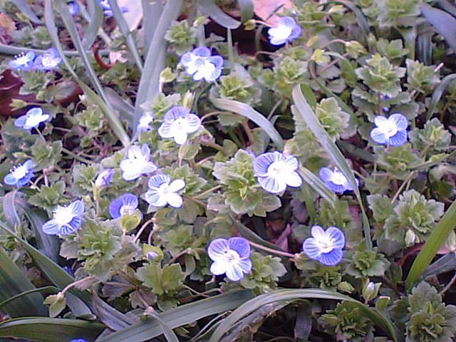 �I�I�C�k�m�t�O��