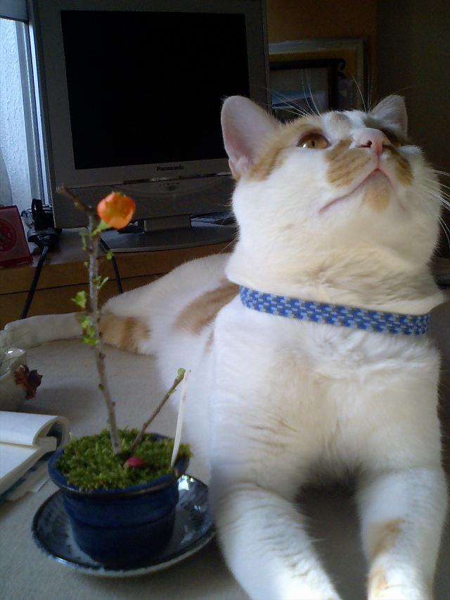 ���[�B�Ȃ񂩂����t�Ȃ񂾂Ȃ��A