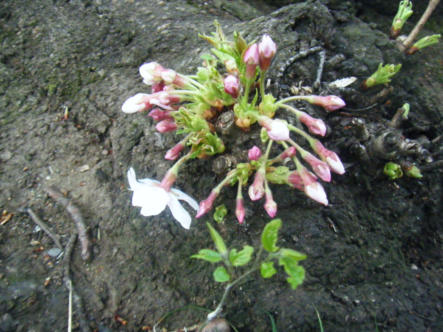 ���т��B���A�������H�B