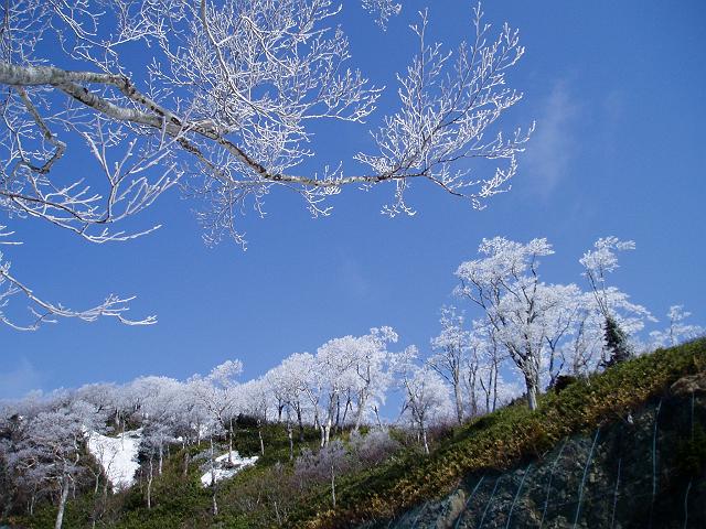 ������Ȃ���@���X����