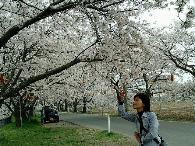 �ɂ��������ȁB