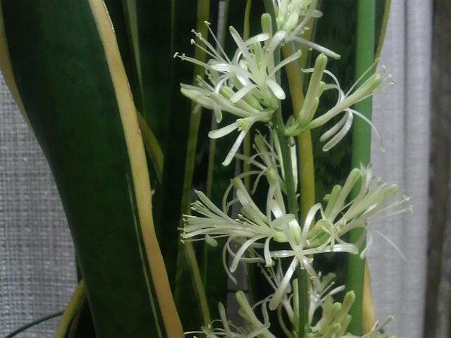 �ԁA�炭��ł���