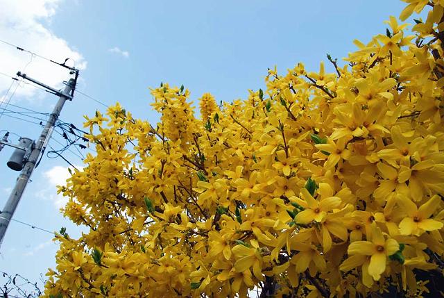 ���F�т�����