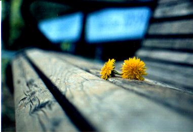 �c�����Â�����