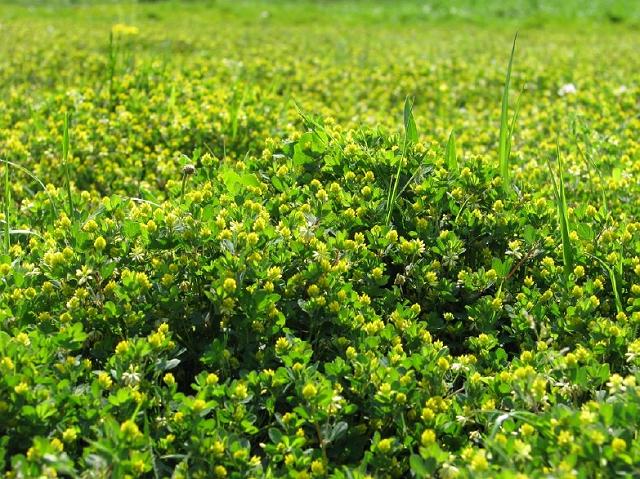 �����Ԃł��B