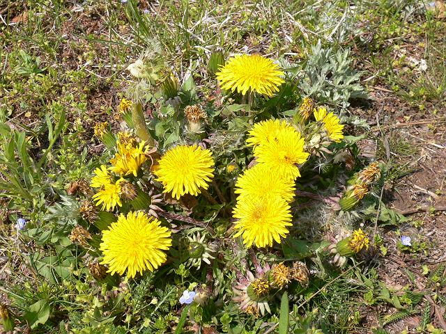 ����ۂۂ���