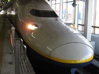 ��蕨�Ƃ����ΐV����