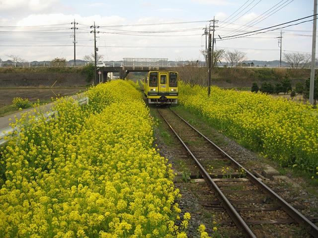 �����ݓS��