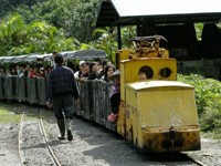 ��p���攎���ق̃g���b�R