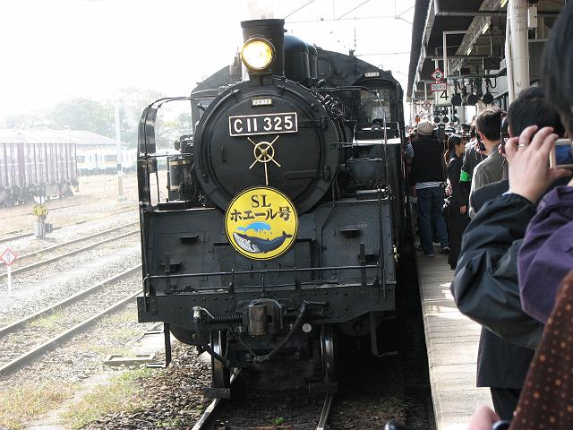 ��͊w�Z�ɍs���̂ɏ���Ă����炵��