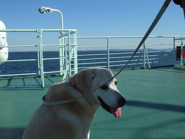 �t�F���[���B