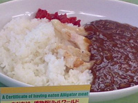 ���j�J���[�I