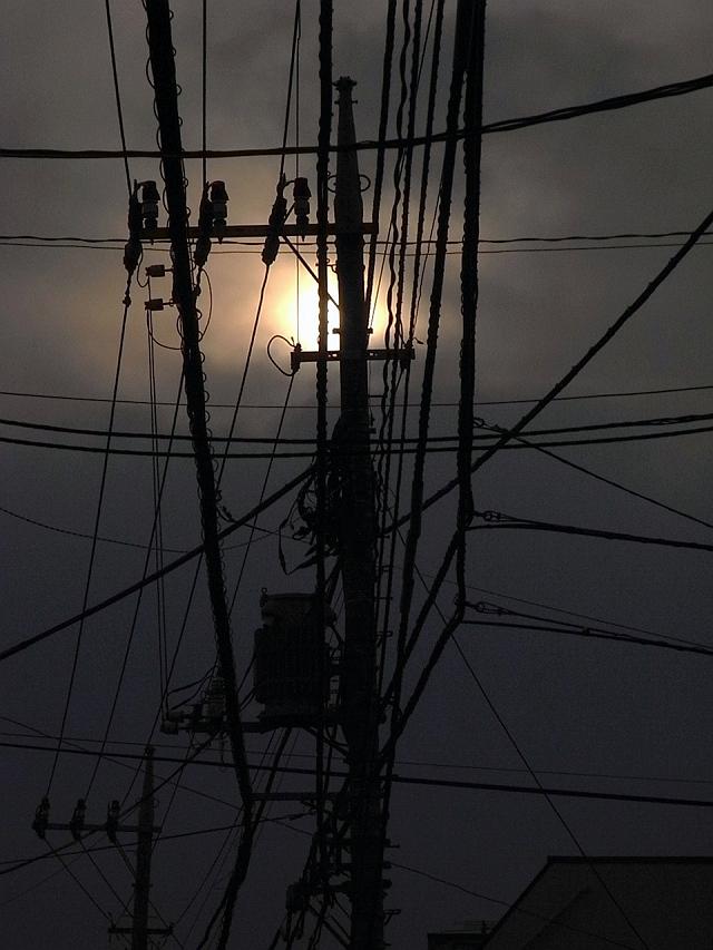 �����������d������