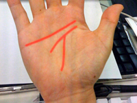 �J�^�J�i����_���ł����H