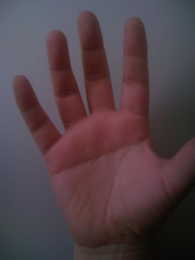 �Ă邿���́u�āv