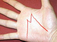 �C�j�V����