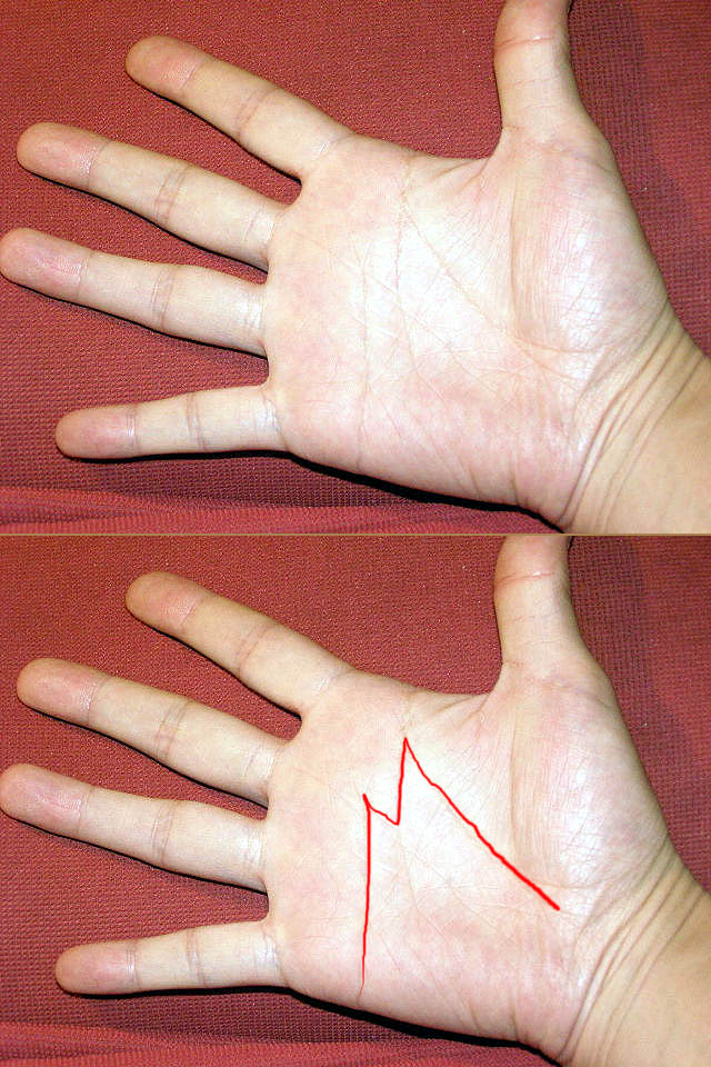 �C�j�V����