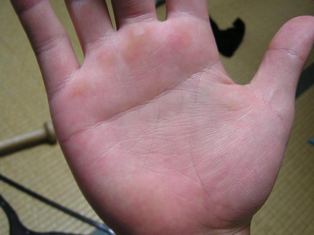 �����̎���u�āv�ł��I