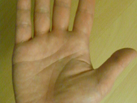 �J�^�J�i�ł����B