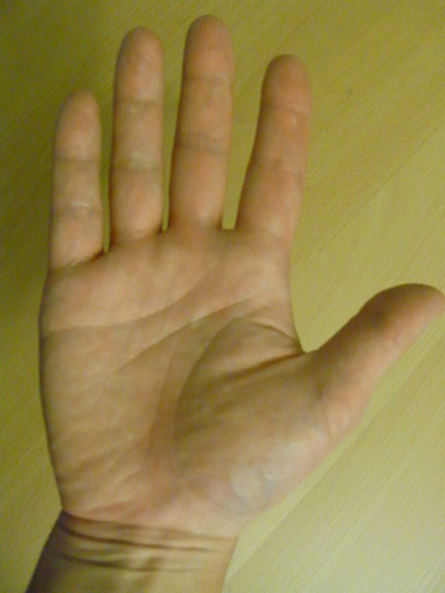 �J�^�J�i�ł����B