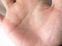 �w�āx�n�̎�ł�