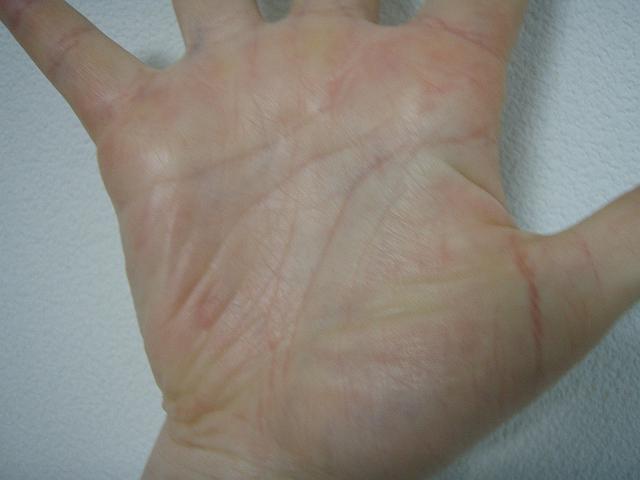 ���܂�d�����ɂ͎��M���Ȃ�