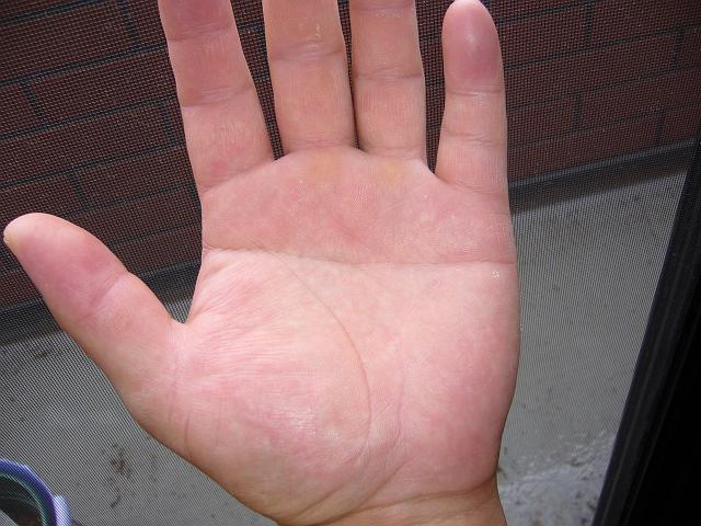 ����̎ʐ^�ł�