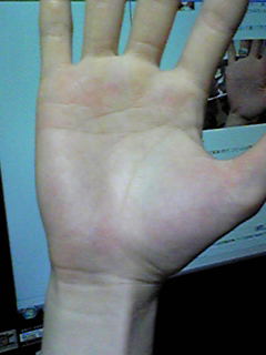 �킽���̂�