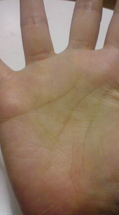 �u�āv����Ȃ��Ĕ߂���