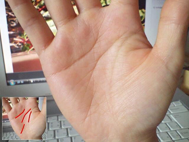 �w���x�ɂ������Ȃ���I